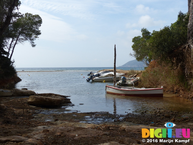 FZ027865 Boats moored in estuary